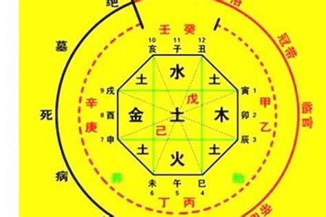 四柱八字|生辰八字算命、五行喜用神查询（免费测算）